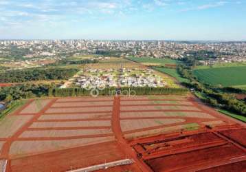 Terreno no loteamento tropical iv - cascavel, pr