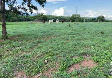 Fazenda para venda em são valério da natividade, área rural