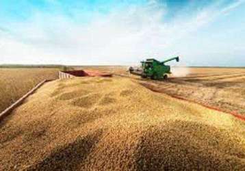 Fazenda para venda em palmeirante, área rural