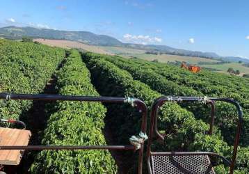 Fazenda para venda em passos, área rural