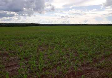 Fazenda para venda em santa maria do tocantins, área rural