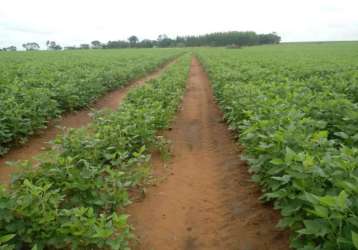 Área rural para venda em pedro afonso, área rural