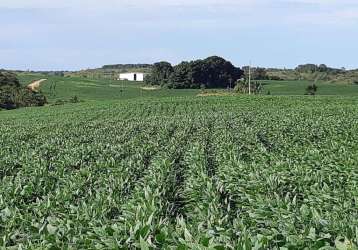 Área rural para venda em peixe, área rural