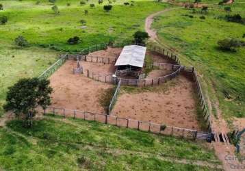 Fazenda com 168 alqueires goianos - 813 hectares; - município de cocalzinho de goiás go