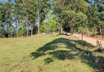 Chácara a venda 12.1 hectares, 02 casas e barracão, na água amarela em chapecó - sc