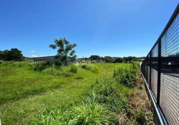 Terreno comercial à venda na rodovia francisco thomaz dos santos, 406, armação do pântano do sul, florianópolis, 22857 m2 por r$ 28.500.000