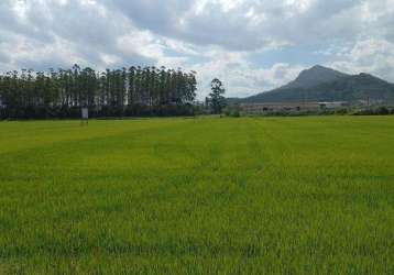 Terreno para venda em guaramirim, escolinha