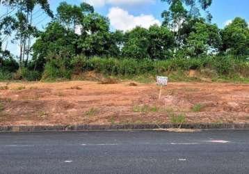 Terreno para venda em guaramirim, corticeira