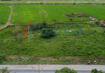 Terreno para venda em massaranduba, centro