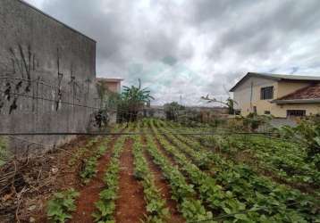 Terreno para venda em fazenda rio grande, eucaliptos