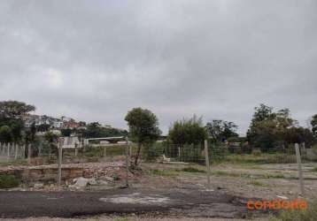 Terreno para alugar, 5000 m² por r$ 37.000,00/mês - cavalhada - porto alegre/rs