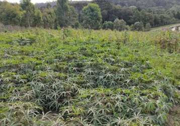 Terreno para venda em rio negrinho, são pedro