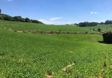 Terreno para venda em campo alegre, avenquinha