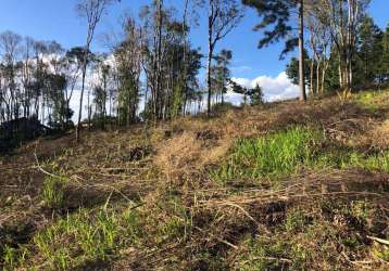 Terreno para venda em são bento do sul, progresso