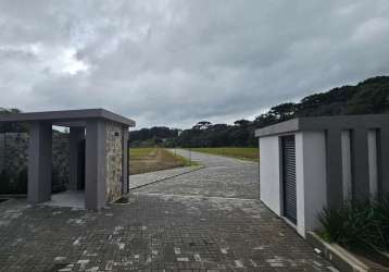 Terreno para venda em são bento do sul, boehmerwald