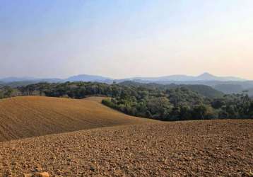 Terreno para venda em campo alegre, bateias de cima