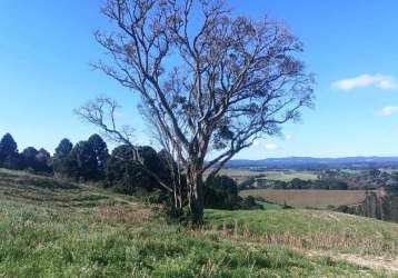 Terreno para venda em campo alegre, serrinha