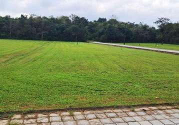 Terreno para venda em joinville, pirabeiraba