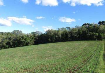 Terreno para venda em são bento do sul, centenário