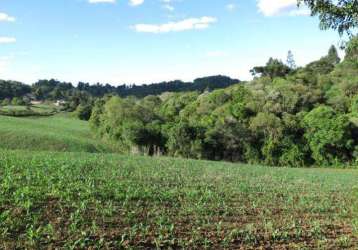 Terreno para venda em são bento do sul, centenário