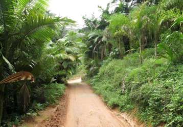 Terreno para venda em joinville, pirabeiraba