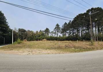 Terreno para venda em são bento do sul, lençol