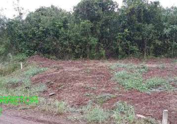 Terreno à venda na estrada geral linha esperança, s/n, esperança, maratá por r$ 120.000