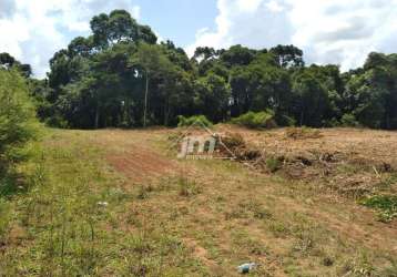 Terreno à venda centro - balsa nova/pr