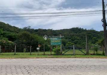 Terreno à venda na bela vista, 6546, capão, garopaba, 10000 m2 por r$ 4.260.000