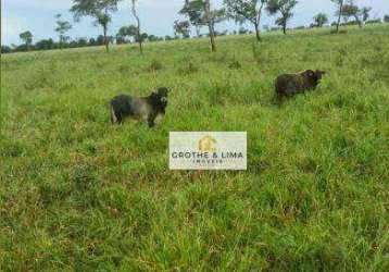 Fazenda com 1.005 hectares à venda na região do município de campo grande/ms.