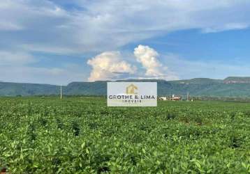 Vendo fazenda de dupla aptidão à venda no município de monte do carmo/to.