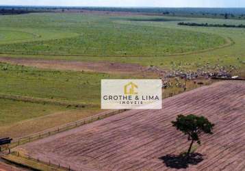 Vendo fazenda à venda na região do município de nova mutum/mt