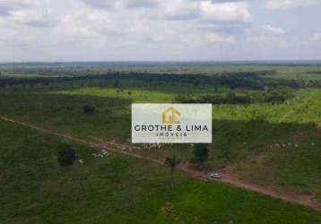 Vendo fazenda à venda no tocantins na região de araguaina