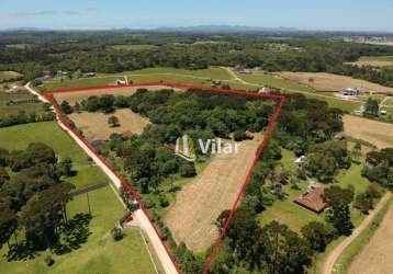 Terreno à venda, 70976 m² por r$ 2.250.000 - chácara águas claras - piraquara/pr