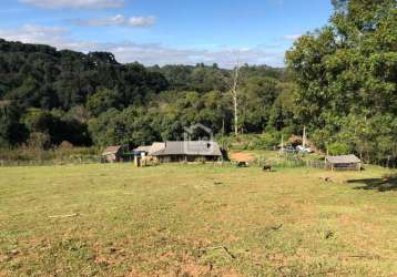 Belíssima área rural, thomaz coelho, araucaria - pr