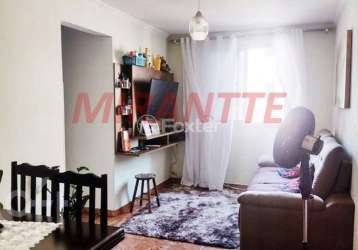 Apartamento com 2 quartos à venda na rua maria amália lopes azevedo, 3731, vila albertina, são paulo, 49 m2 por r$ 255.000