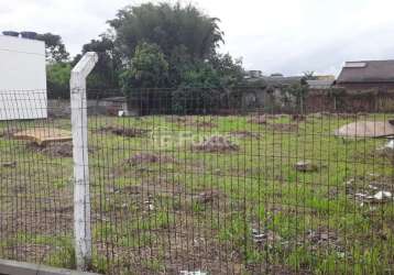 Terreno à venda na rua palmeiras, 270, vera cruz, gravataí, 1046 m2 por r$ 650.000