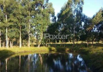 Terreno comercial à venda na estrada do quilombo, 1641, feitoria, são leopoldo, 60000 m2 por r$ 2.660.000