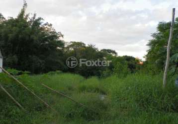 Terreno comercial à venda na rua bazilio pellin filho, 1166, vila conceição, porto alegre, 1355 m2 por r$ 600.000