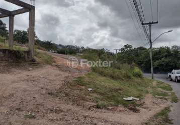 Terreno comercial à venda na avenida professor oscar pereira, 6622, cascata, porto alegre, 1034 m2 por r$ 730.000