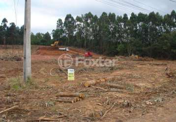 Terreno comercial à venda na rodovia br-386, 02, centro, nova santa rita, 2000 m2 por r$ 1.080.000