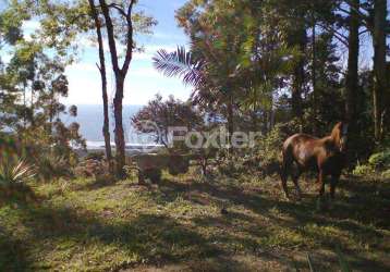 Terreno comercial à venda na estrada paulo lopes, 500, centro, paulo lopes, 33000 m2 por r$ 1.800.000