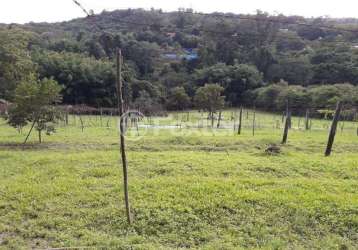 Terreno comercial à venda na avenida belém velho, 3580, vila nova, porto alegre, 6396 m2 por r$ 1.300.000