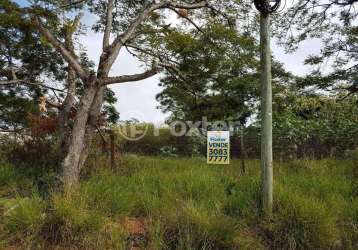 Terreno comercial à venda na avenida ernesto neugebauer, 770, humaitá, porto alegre, 5340 m2 por r$ 5.866.000