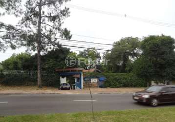 Terreno comercial à venda na avenida eduardo prado, 1280, cavalhada, porto alegre, 2446 m2 por r$ 890.000