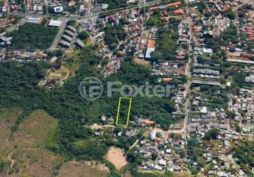 Terreno comercial à venda na rua odo cazzulo, s/n, nonoai, porto alegre, 2393 m2 por r$ 400.000