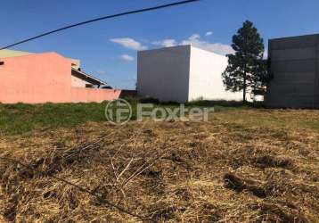 Terreno à venda na rua artur emílio ozzio, 350, cohab, cachoeirinha, 300 m2 por r$ 399.000