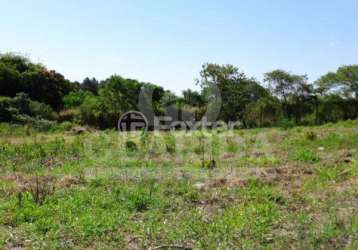 Terreno à venda na estrada da ponta grossa, 870, ponta grossa, porto alegre, 3000 m2 por r$ 212.000