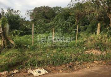 Terreno à venda na rua amábile samarani ferreira, 35, campo novo, porto alegre, 370 m2 por r$ 130.000