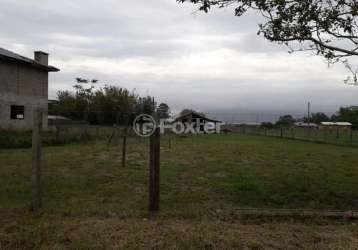 Terreno à venda na vila faxinal morro alto, 981, zona rural, maquiné, 1560 m2 por r$ 260.000